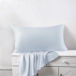 Cheap Alice Blue Silk Pillowcases