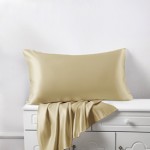 Cheap Champagne Silk Pillowcases