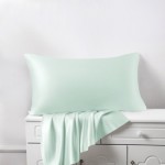 Cheap Light Cyan Silk Pillowcases