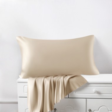 Cheap Beige 22 Momme Mulberry Silk Pillowcase with Hidden Zipper